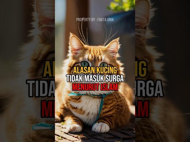 Alasan kucing tidak masuk surga menurut Islam #shorts #islam #kucing