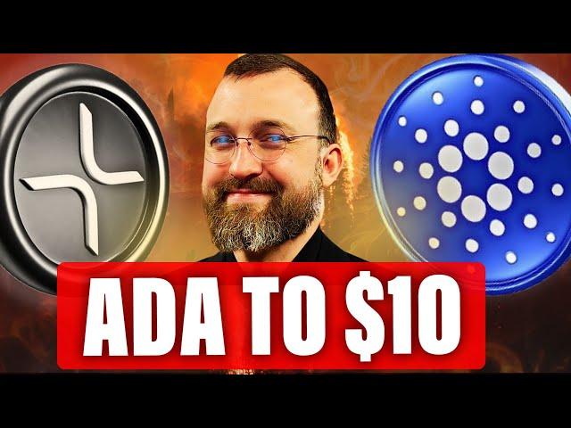 Cardano ADA Will SURGE in 2025 | New XRP Ripple Data