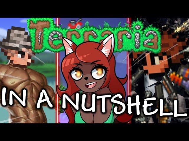 Terraria in a Nutshell