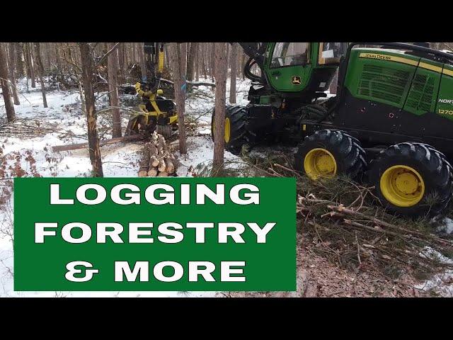 Logging Forestry & More Promo Video