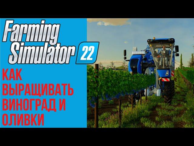  Всё о винограде и оливках в Farming Simulator 22