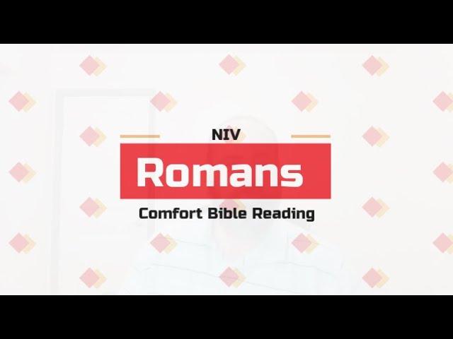 Book of Romans as written by the Apostle Paul from the NIV.