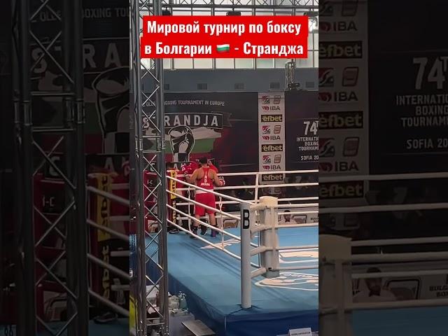 #българия #bulgaria #болгария #странджа #софия #бокс #strandja #boxing #bulgariaboxing #българиябокс