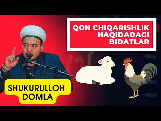 Қон чиқариш Бидат амал эканини биласизми? // Qon chiqarish Bidat amal ekanini bilasizmi? //