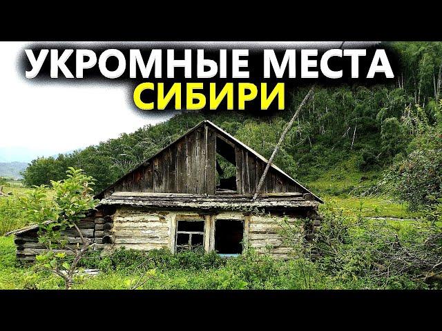 Такое не покажут по телевизору. Копал три дня находки. Коп поиск монет 2022