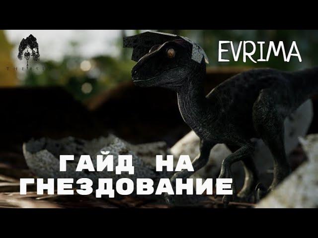 THE ISLE EVRIMA. ГНЕЗДОВАНИЕ! ПОДРОБНЫЙ ГАЙД!