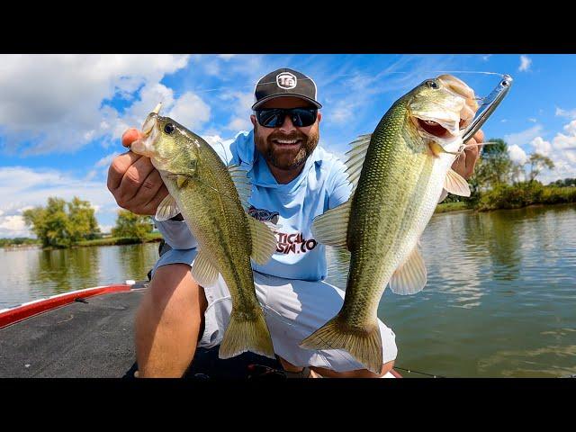 How To Catch 2 Bass At Once!! (Tricks For Schooling Bass)