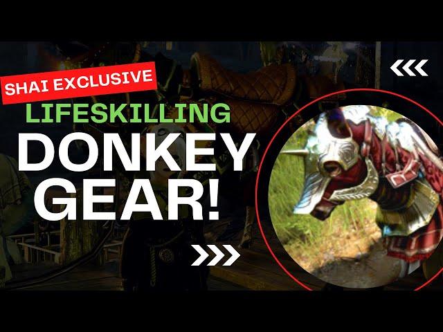 Krogdalo's Donkey Gear Guide For Black Desert Online