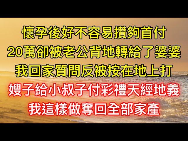 懷孕後好不容易攢夠首付，20萬卻被老公背地轉給了婆婆，我回家質問反被按在地上打：嫂子給小叔子付彩禮天經地義，我這樣做奪回全部家產