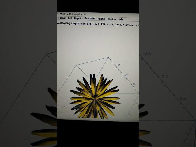 Wolfram Mathematica