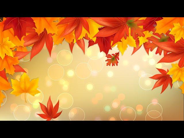 Autumn background - maple leaves - autumn