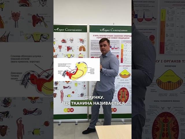 Біль у шлунку дитини 1ч. #германскаяноваямедицина #гнм #психосоматика