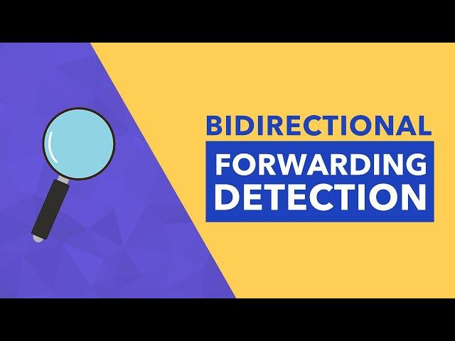 Bidirectional Forwarding Detection