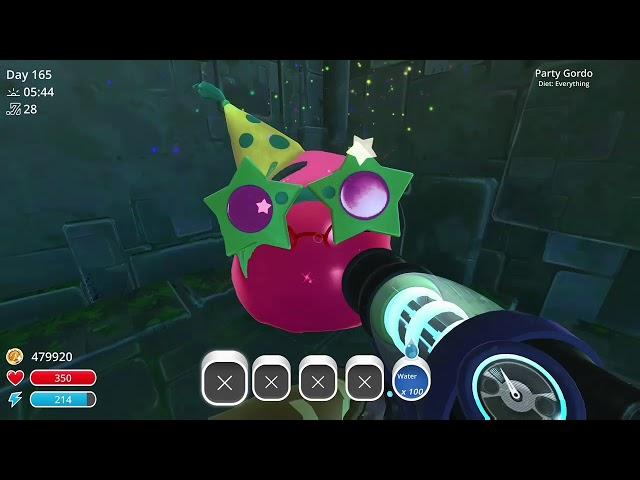 Party Gordo location, December 7-9 | Slime Rancher