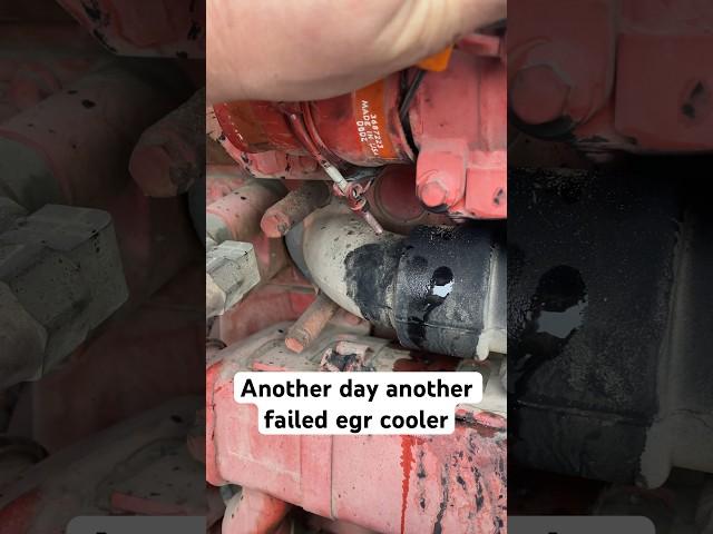 Failed egr cooler on this cummins isx #mechanic #diesel #peterbilt #cummins #isx #repair #subscribe