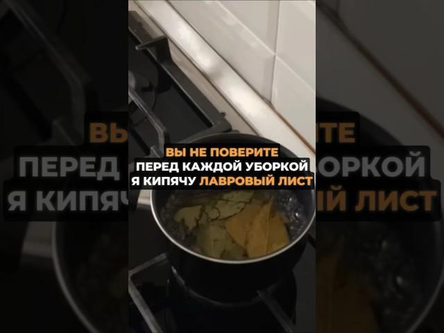 Перед каждой уборкой кипячу лавровый лист #советы #дом #лайфхаки