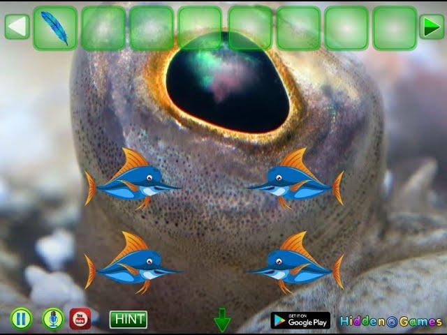 rescue innocent fish walkthrough