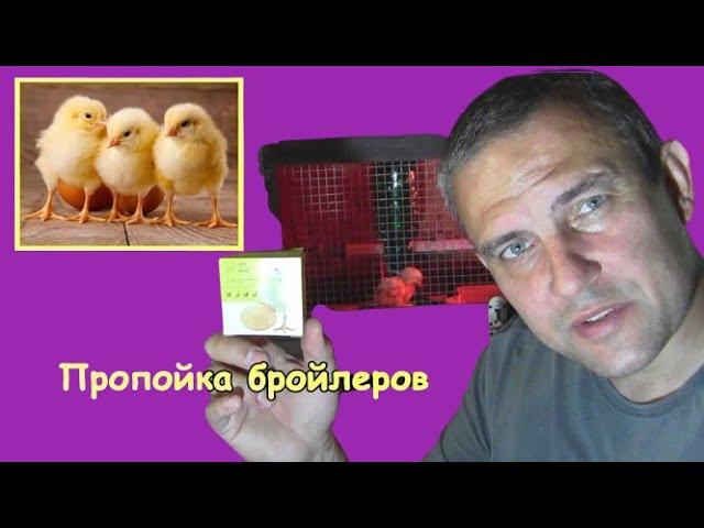 Broiler feeding