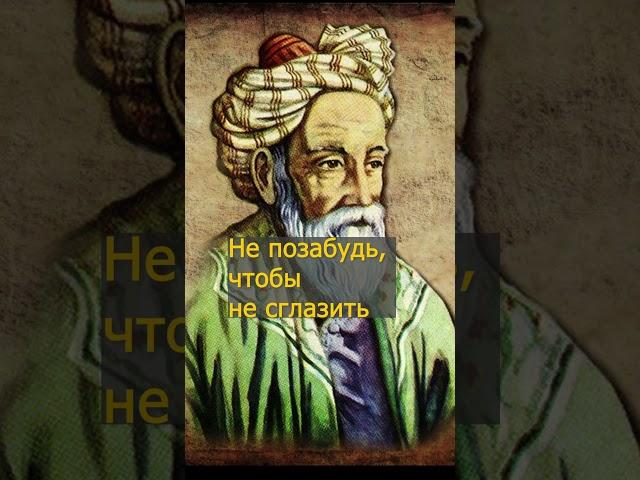  Ты выбрался из грязи в князи  #мудрость #афоризм #афоризмы
