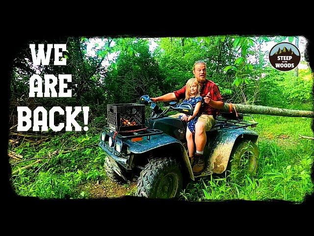 The RETURN of Steep in the Woods