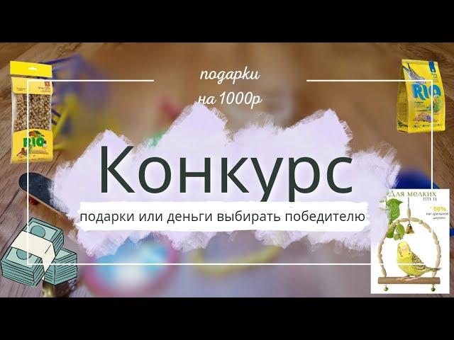 КОНКУРС! ПОДАРКИ ИЛИ ДЕНЬГИ! СПАСИБО ЗА 15100 ПОДПИСЧИКОВ!