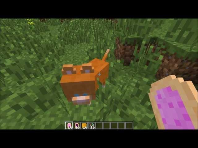 Minecraft: Nyan Cat Mod