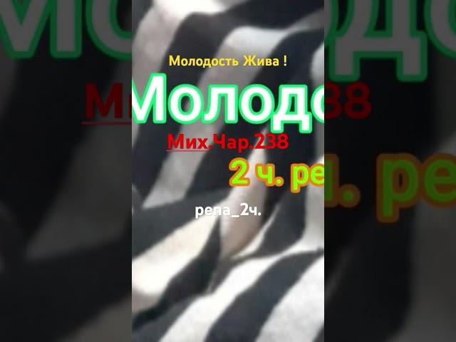 Молодость Жива! ( репа_2ч.-06.08.24 ) - Мих.Чар.238