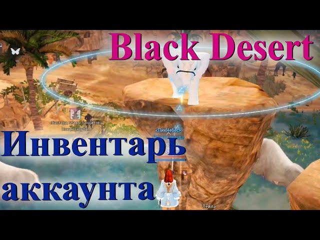 Black Desert инвентарь аккаунта // квест на инвентарь аккаунта в бдо // фрагменты рисунка