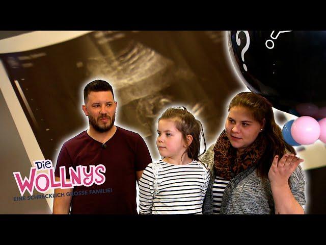 Baby-Überraschung bei Sylvana und Flo! ​ | Die Wollnys #wollnyclassics #157