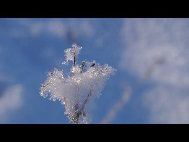 Beads of Sun and Snow