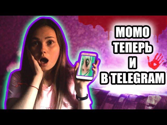 ШОК! МОМО ТЕПЕРЬ И В TELEGRAM! ОНА НАШЛА МЕНЯ! | МОМО ТЕЛЕГРАМ | MARIA VIOLET