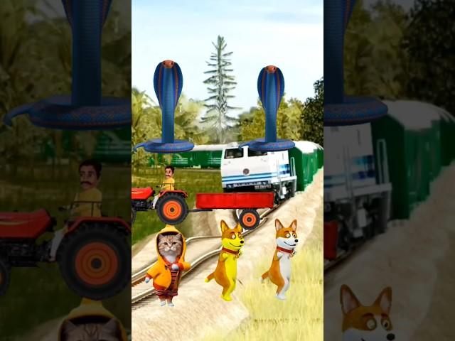 Cute dog beby snake stop train by dance #trending #cute #funny