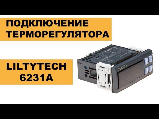 Терморегулятор (контроллер) для инкубатора Lilytech 6231a. Подключение и настройка