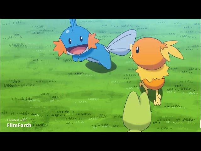 Mudkip likes to swim