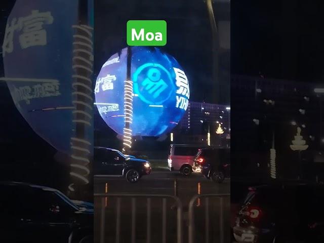 Moa view