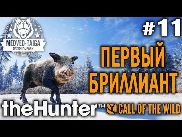 theHunter call of the wild #11  - Первый Бриллиант - Револьвер, Арбалет - Кабарга, Лось, Кабан