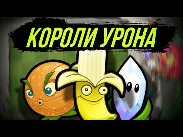 У КОГО САМЫЙ БОЛЬШОЙ  УРОН ? Короли Урона в Plants vs Zombies 2 !