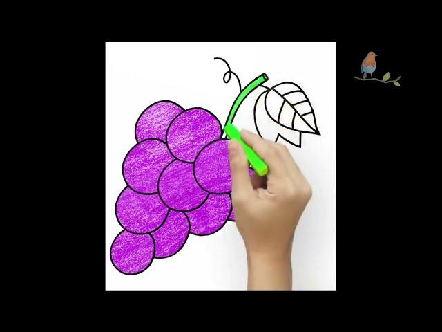 Meyveler Nasıl Çizilir? | Meyve Boyama Videoları | Çocuklar için Boyama Oyunları | Çizelim Boyayalım