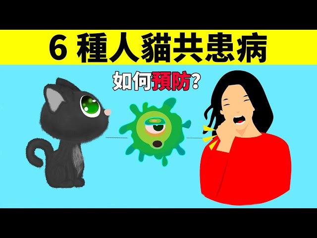 6種貓可能會傳染給人的病，你都了解嗎？養貓必看！