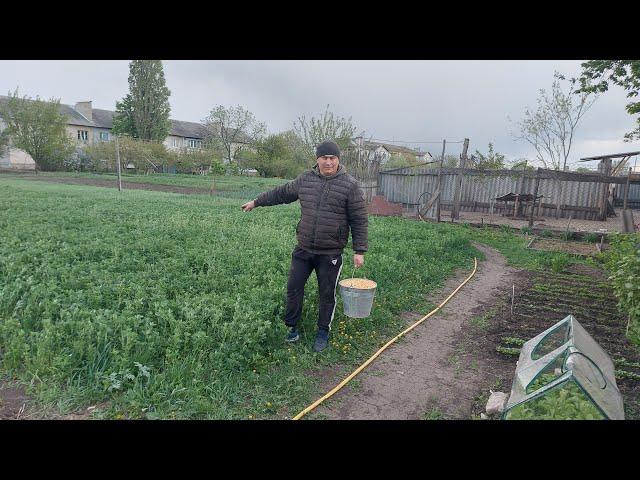 Для них это самое важное!!! Перепелки будут.