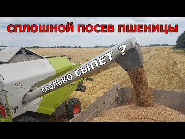 Пшеница от посева до уборки! Сплошной посев и уборка пшеницы 2019!