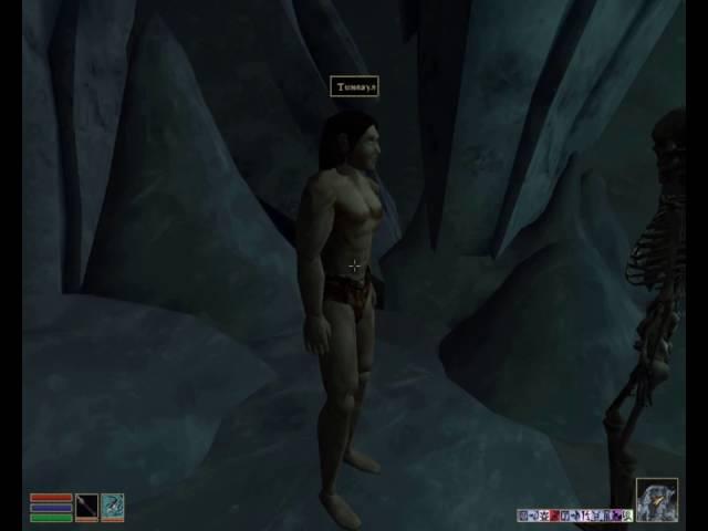 Morrowind 35 Покров Горя Эбонитовая стрела убийства Жало Тени