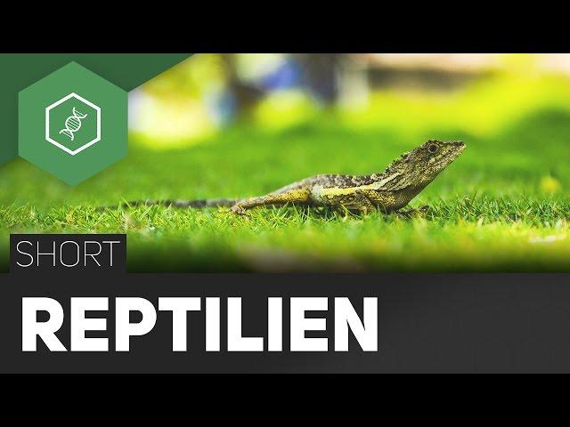 Reptilien