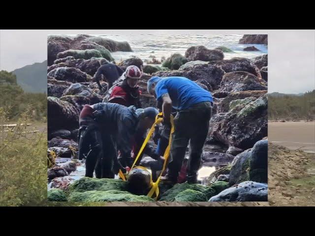 Archaeologists discover historic shipwreck on Oregon coast