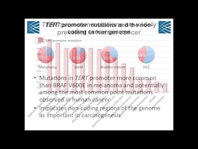 TERT Promoter Mutations in Cancer