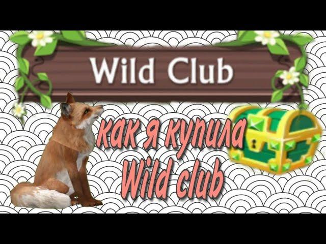 ~|Покупаю Wild club  обзор|~