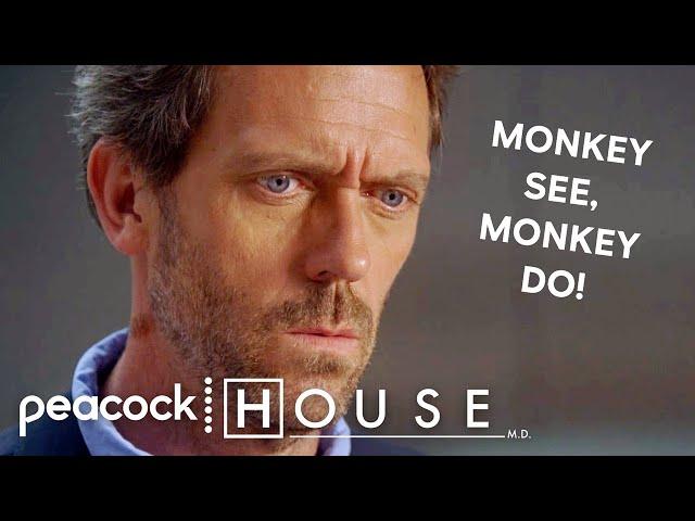 Monkey See, Monkey Do! | House M.D..