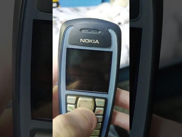 Nokia 3100