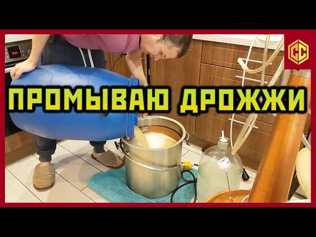 КАК Я ПРОМЫВАЮ ДРОЖЖИ. ДРОЖЖИ ДЛЯ БРАГИ.