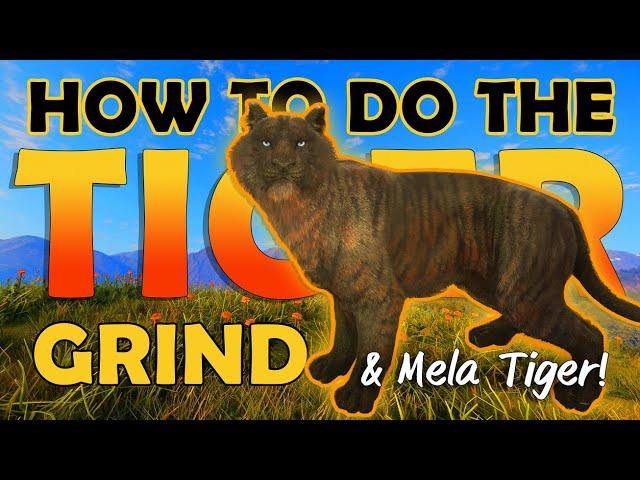 MELANISTIC TIGER & How to GRIND TIGERS (After the UPDATE)!!! - Call of the Wild